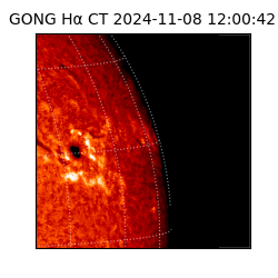 gong - 2024-11-08T12:00:42