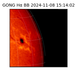 gong - 2024-11-08T15:14:02