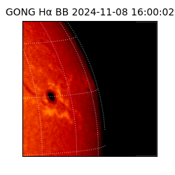 gong - 2024-11-08T16:00:02