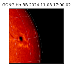 gong - 2024-11-08T17:00:02