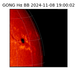 gong - 2024-11-08T19:00:02