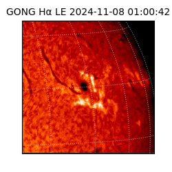 gong - 2024-11-08T01:00:42
