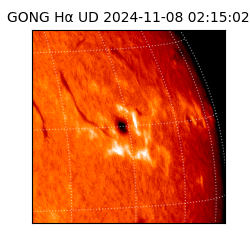 gong - 2024-11-08T02:15:02