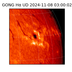 gong - 2024-11-08T03:00:02