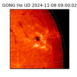 gong - 2024-11-08T09:00:02