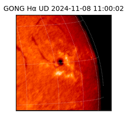 gong - 2024-11-08T11:00:02