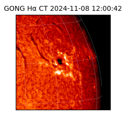 gong - 2024-11-08T12:00:42