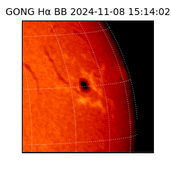 gong - 2024-11-08T15:14:02