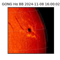 gong - 2024-11-08T16:00:02