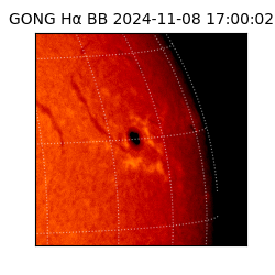 gong - 2024-11-08T17:00:02