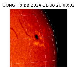 gong - 2024-11-08T20:00:02