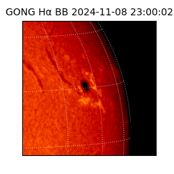 gong - 2024-11-08T23:00:02