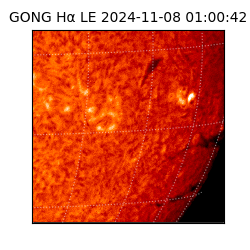 gong - 2024-11-08T01:00:42