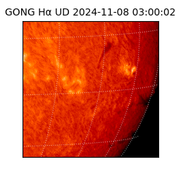 gong - 2024-11-08T03:00:02