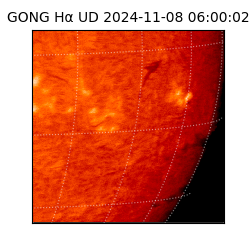 gong - 2024-11-08T06:00:02