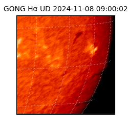 gong - 2024-11-08T09:00:02
