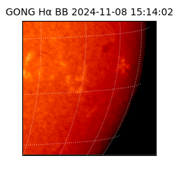 gong - 2024-11-08T15:14:02