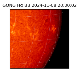 gong - 2024-11-08T20:00:02