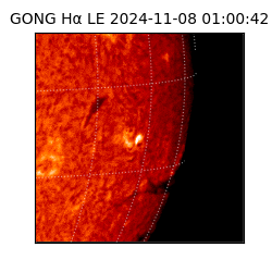 gong - 2024-11-08T01:00:42