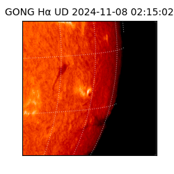 gong - 2024-11-08T02:15:02