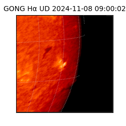 gong - 2024-11-08T09:00:02