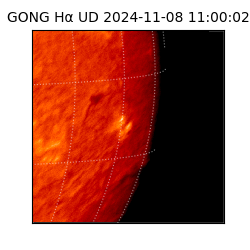 gong - 2024-11-08T11:00:02