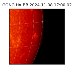 gong - 2024-11-08T17:00:02