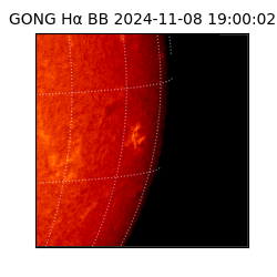 gong - 2024-11-08T19:00:02