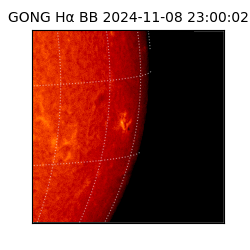 gong - 2024-11-08T23:00:02