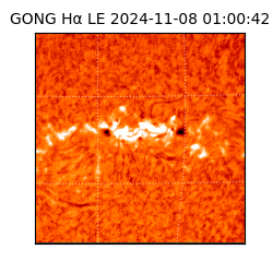 gong - 2024-11-08T01:00:42