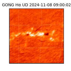 gong - 2024-11-08T09:00:02