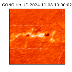 gong - 2024-11-08T10:00:02
