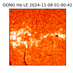 gong - 2024-11-08T01:00:42