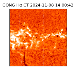 gong - 2024-11-08T14:00:42