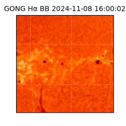 gong - 2024-11-08T16:00:02