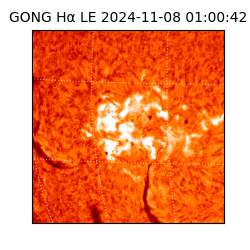 gong - 2024-11-08T01:00:42