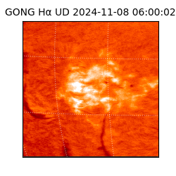 gong - 2024-11-08T06:00:02
