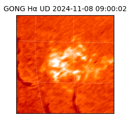 gong - 2024-11-08T09:00:02