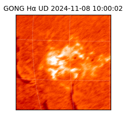 gong - 2024-11-08T10:00:02