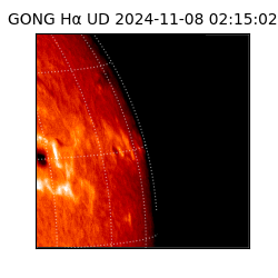 gong - 2024-11-08T02:15:02