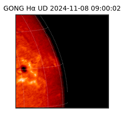 gong - 2024-11-08T09:00:02