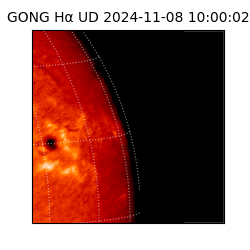 gong - 2024-11-08T10:00:02