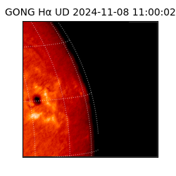 gong - 2024-11-08T11:00:02