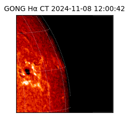 gong - 2024-11-08T12:00:42