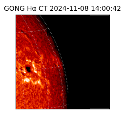 gong - 2024-11-08T14:00:42