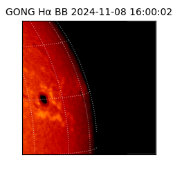 gong - 2024-11-08T16:00:02