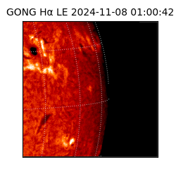 gong - 2024-11-08T01:00:42