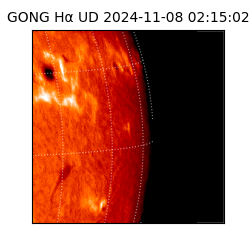 gong - 2024-11-08T02:15:02