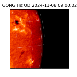 gong - 2024-11-08T09:00:02