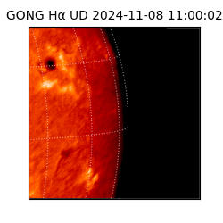 gong - 2024-11-08T11:00:02